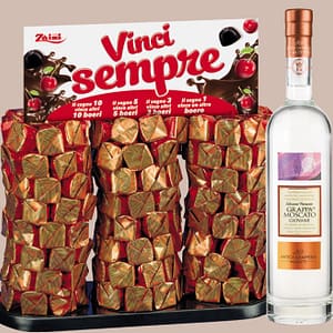 (05.01.00) (5.1) ZAINI STRAPPA E VINCI BOERI BOTT. 13344 (1)