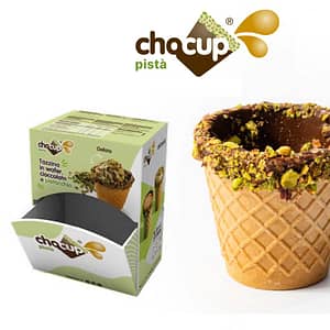 (06.05.01) FOOD D.  CHOCUP EXPO X 60 ML PISTA X 40 PZ (1)